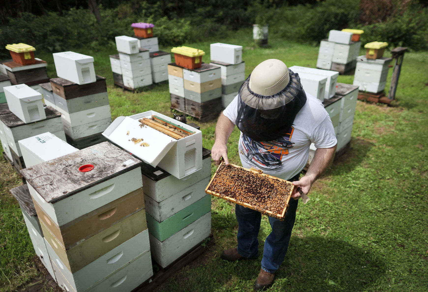 JVG_210701_BEES08